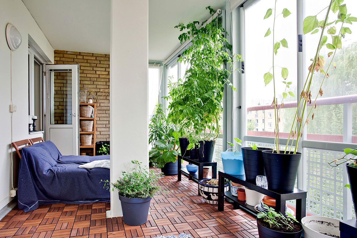 elegant-indoor-garden-ideas